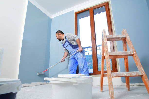 Best Mold Odor Removal Services  in Monroe, OH