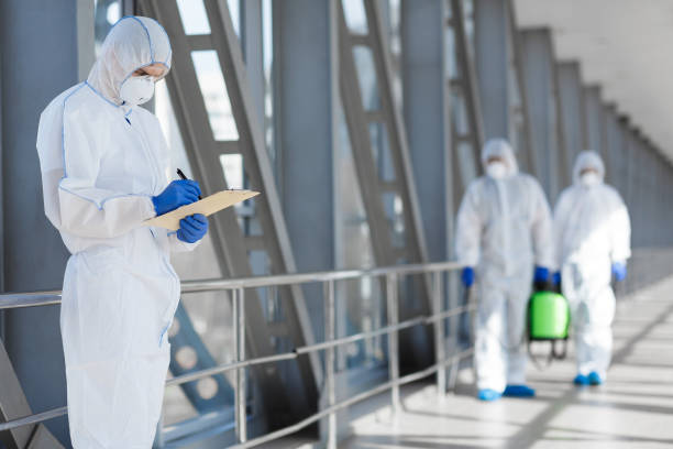  Monroe, OH Mold Removal Pros