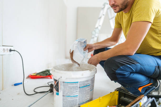 Best Mold Damage Restoration  in Monroe, OH