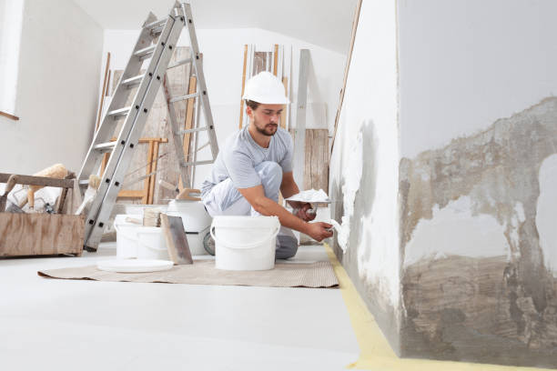 Best Mold-Related Health Consultation  in Monroe, OH