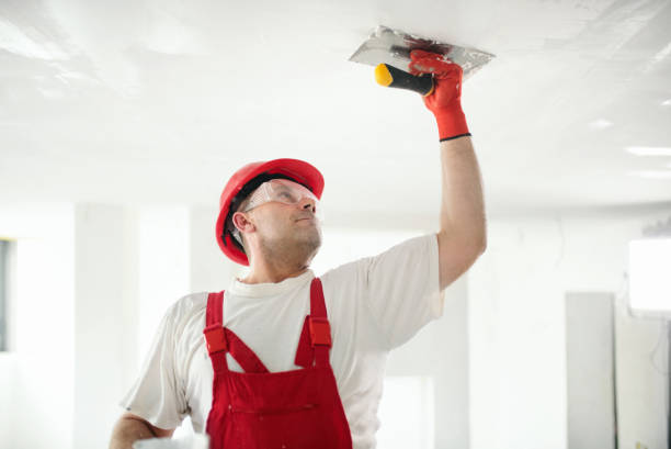 Best Mold Prevention Services  in Monroe, OH