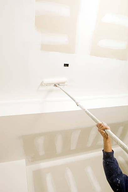 Best Water Damage & Mold Remediation  in Monroe, OH