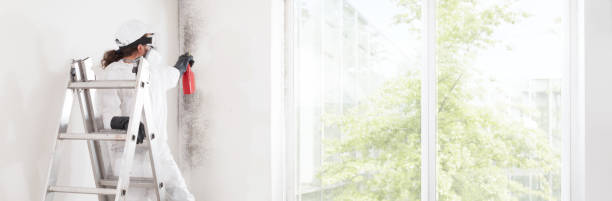 Best Post-Construction Mold Inspection  in Monroe, OH