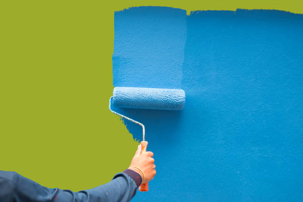 Best Mold Documentation for Insurance Claims  in Monroe, OH